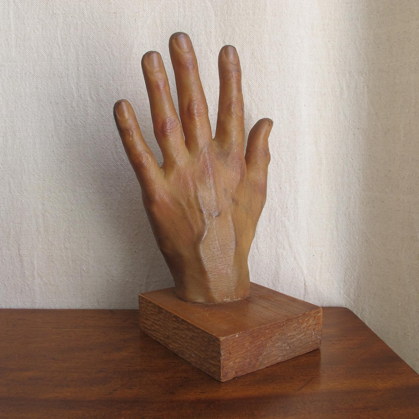 Model of a Hand, amazingly lifelike, c. 1950