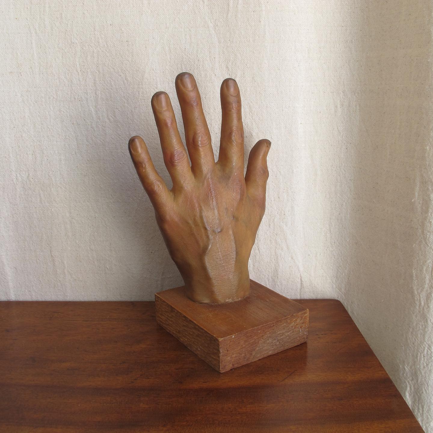 Model of a Hand, amazingly lifelike, c. 1950