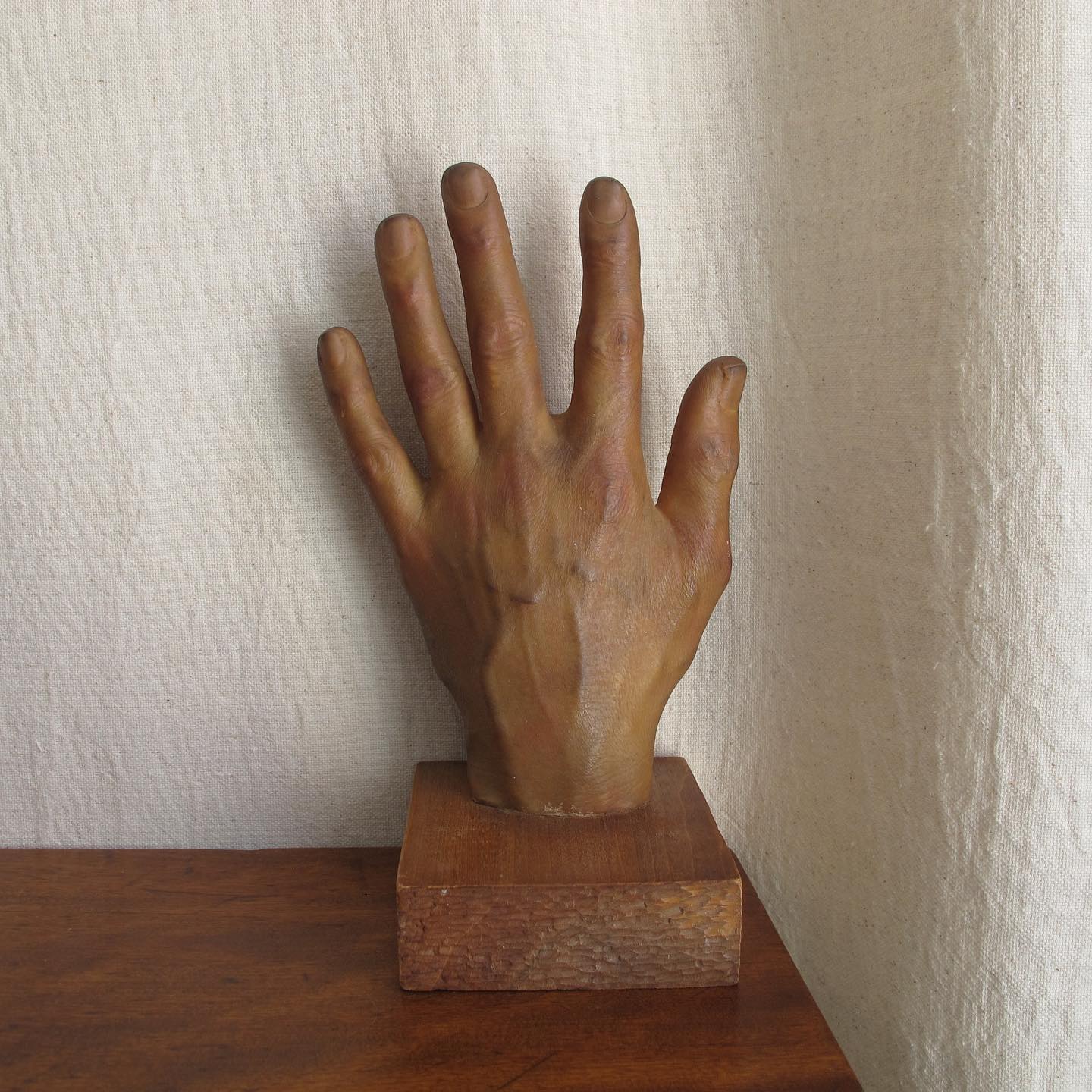 Model of a Hand, amazingly lifelike, c. 1950