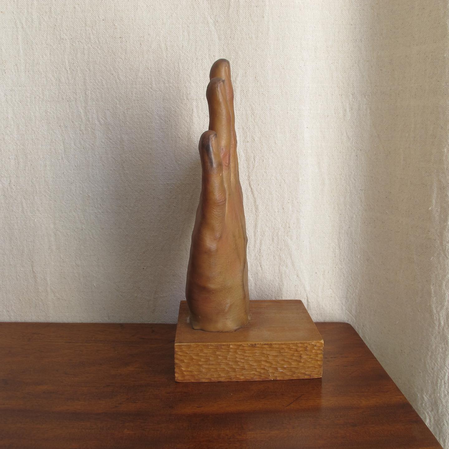 Model of a Hand, amazingly lifelike, c. 1950