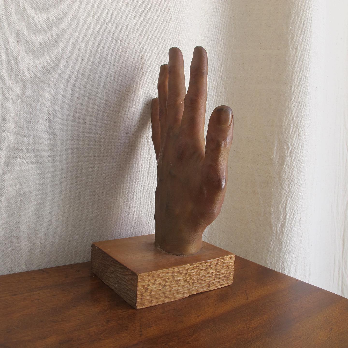 Model of a Hand, amazingly lifelike, c. 1950
