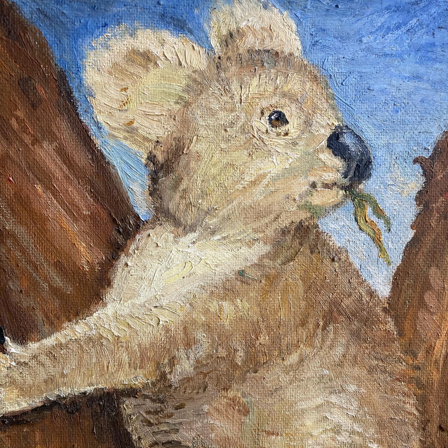 “Koala Bear,” oil on board c. 1960 by Richard G. Packer of North Conway, NH