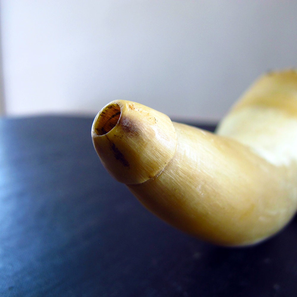 Powder Horn White Miniature Small Carved Beautifully Formed Early 19th Century c. 1800 American