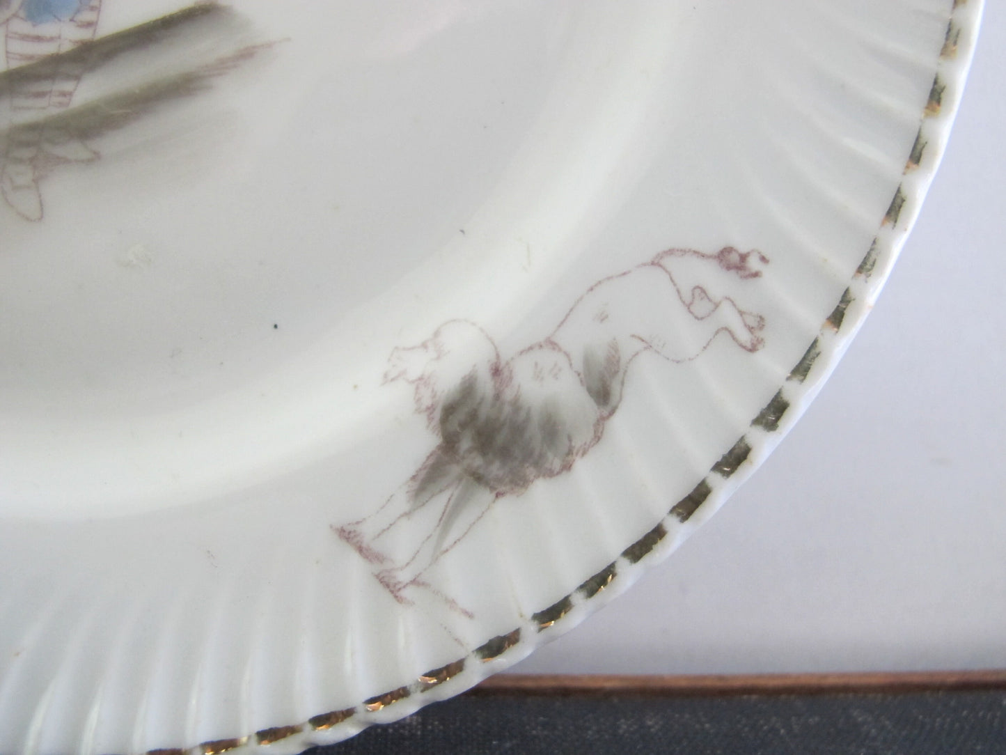Plate Dog Clown Jumping Through Hoop Circus Costume 1900s 1910s Edwardian Victorian