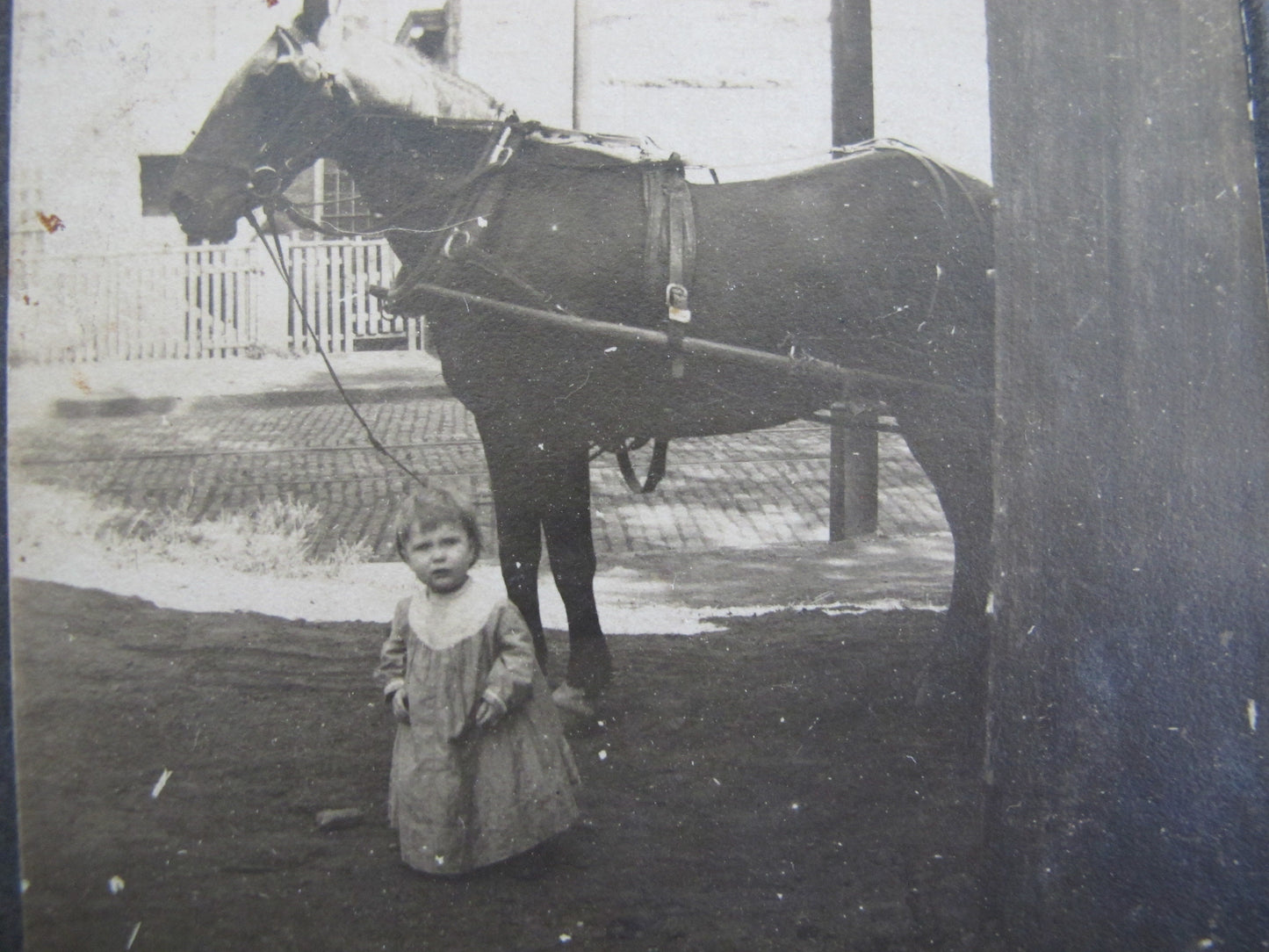 Victorian Photo Snapshot Pair Unposed Child Mill Factory Horse and Cart New Bedford Massachusetts 1890s 1900s