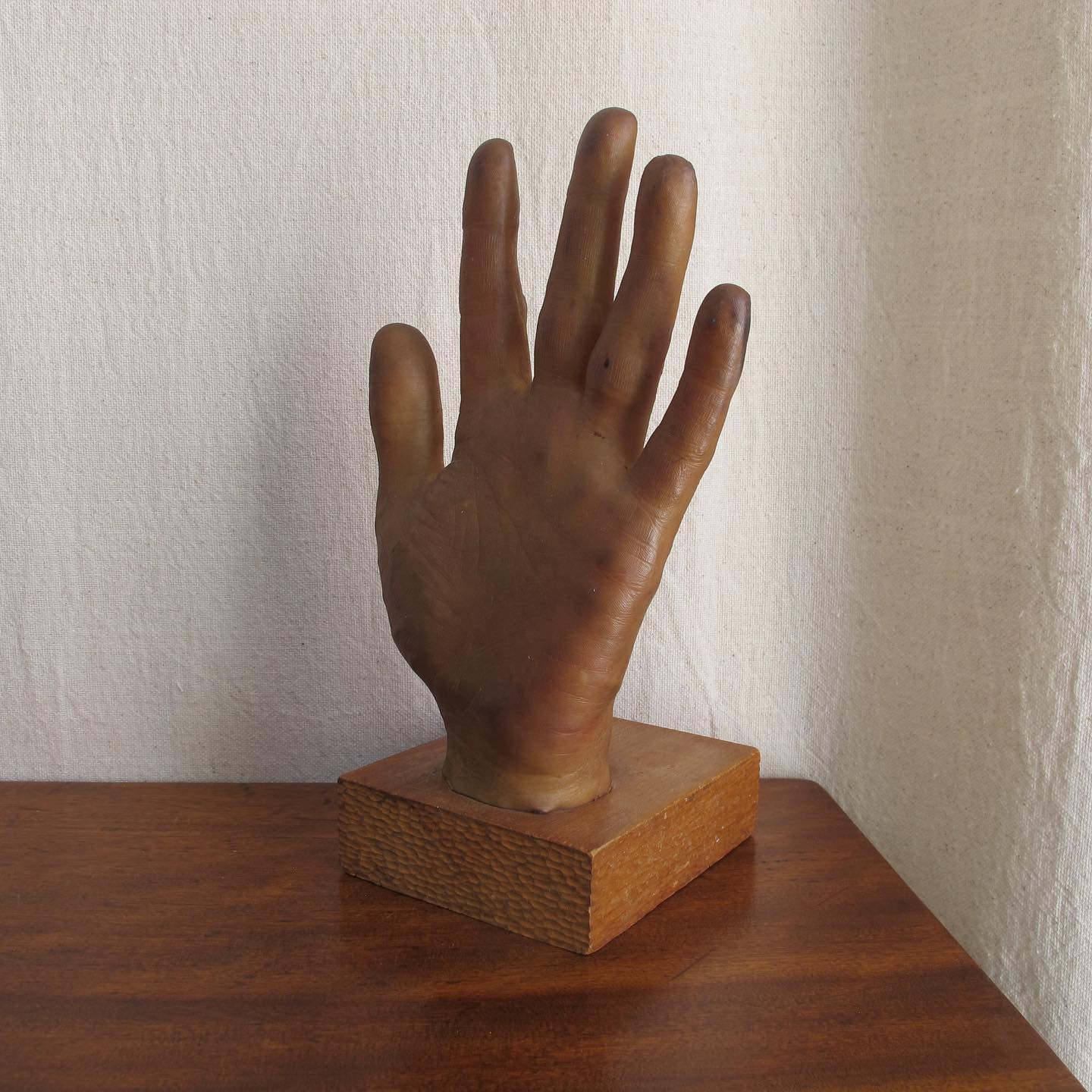 Model of a Hand, amazingly lifelike, c. 1950