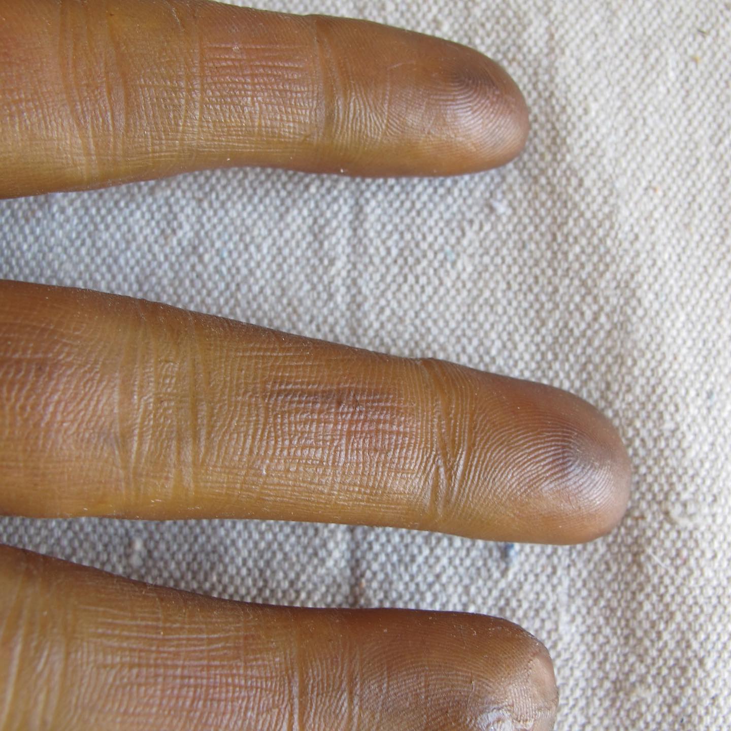 Model of a Hand, amazingly lifelike, c. 1950