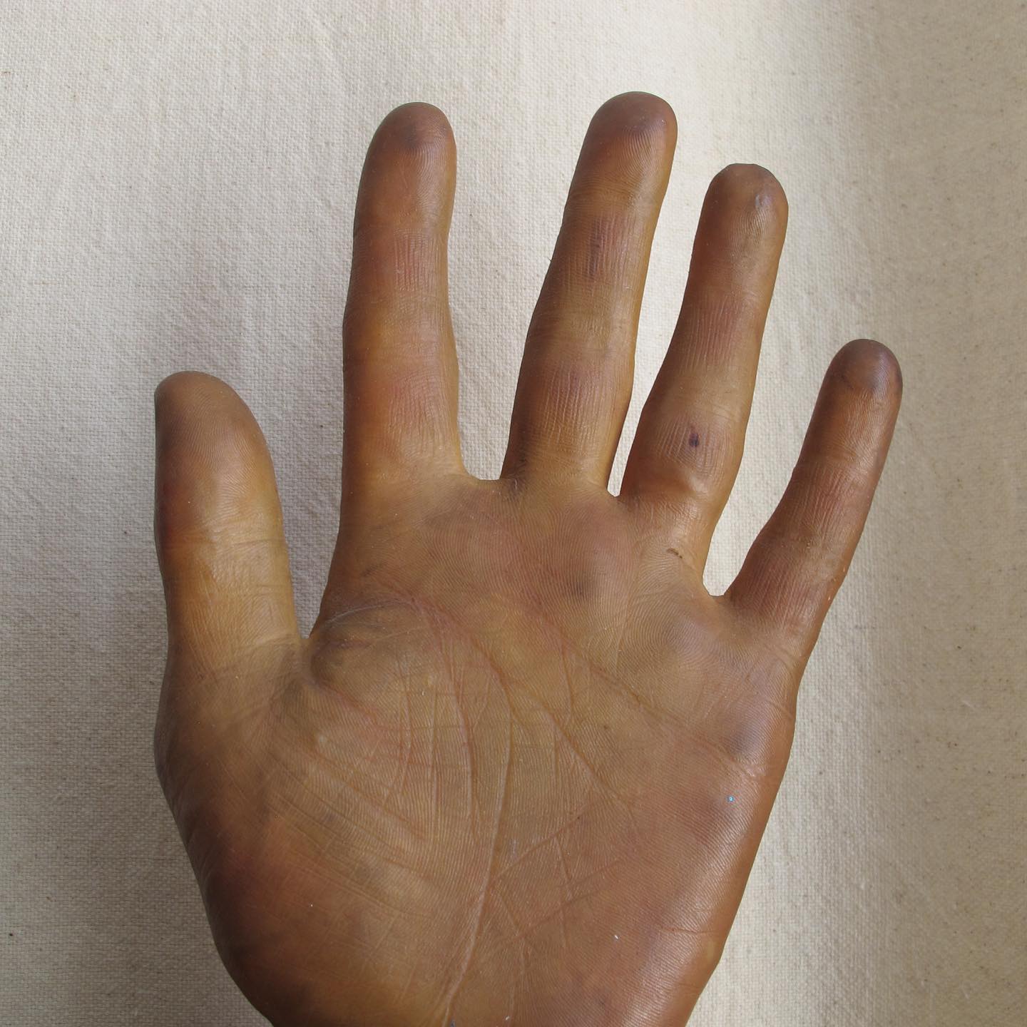 Model of a Hand, amazingly lifelike, c. 1950