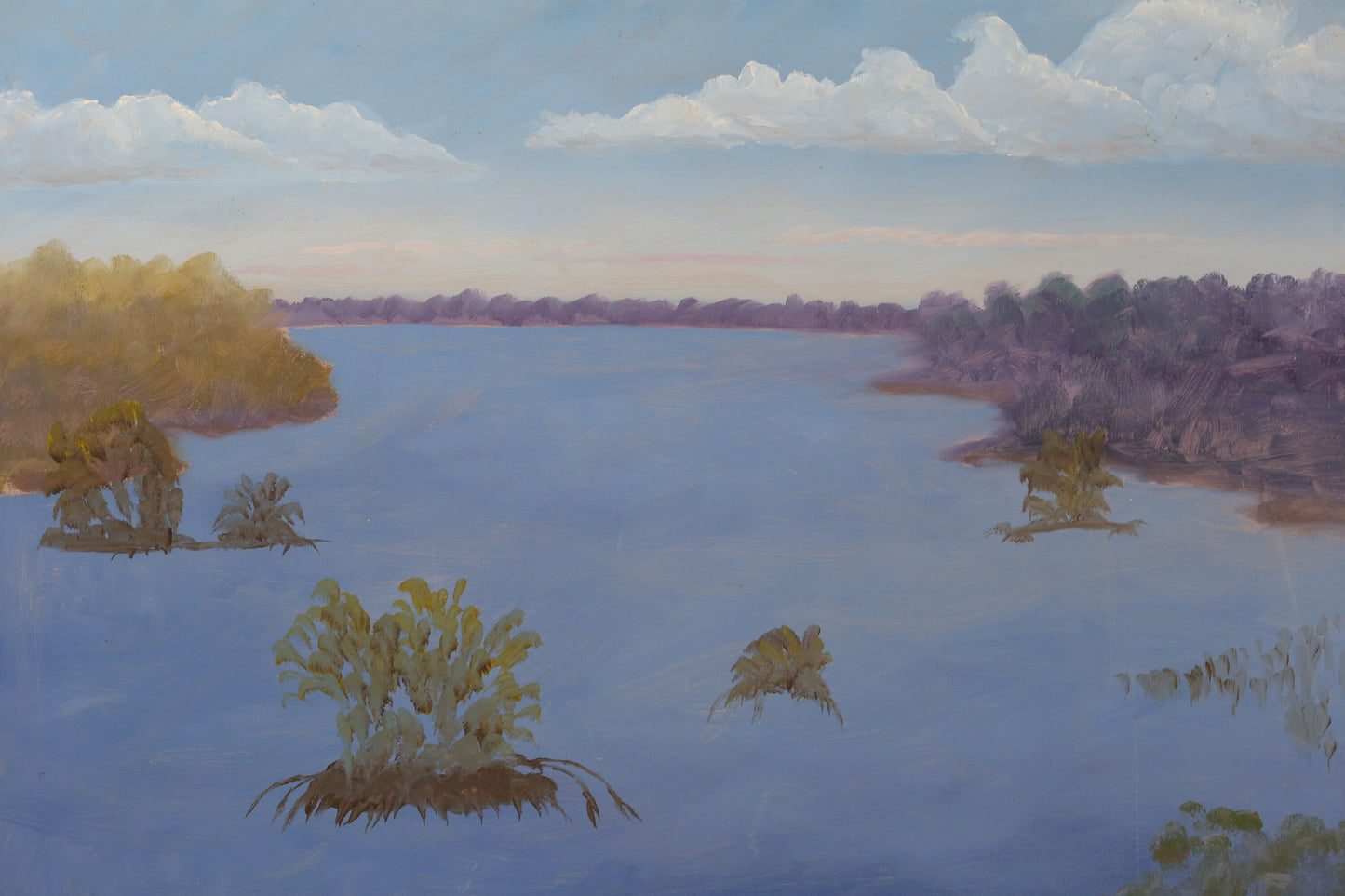 Oil Painting Mangrove Florida Arthur Turcotte Original