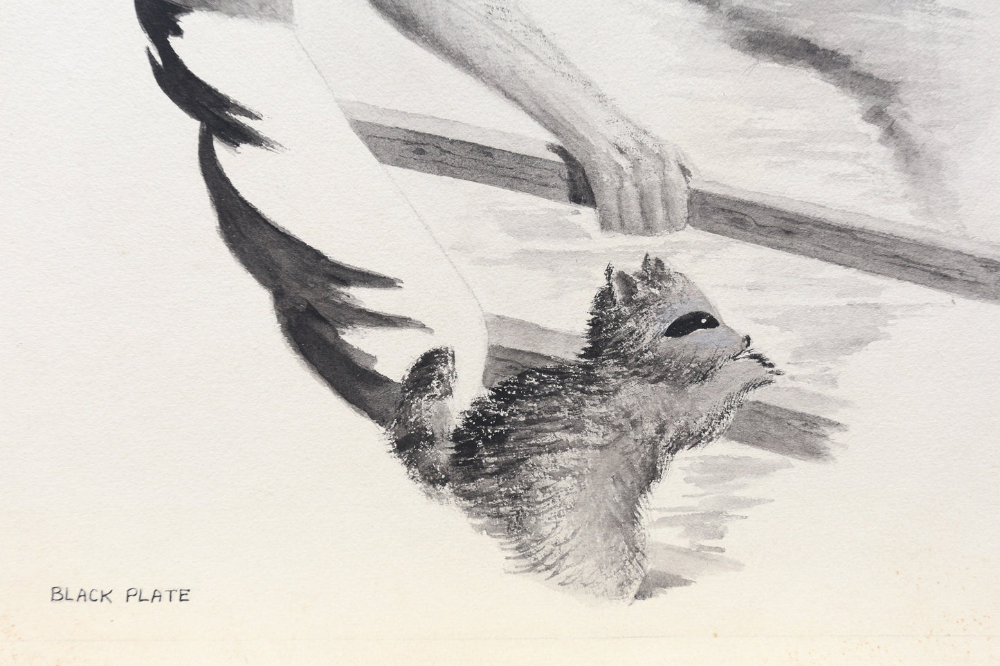 Painting Watercolor Gouache Milkman Man with Pet Raccoon Louise Rosen II Illustration Art