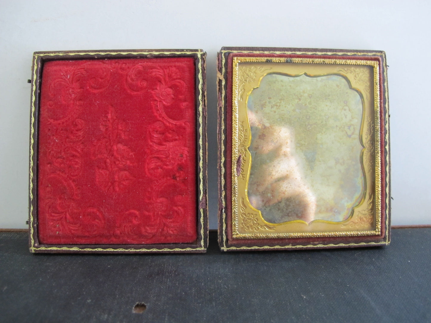 Daguerreotype Cased in Leather Birds Doves Eating Grapes Reference to Zeuxis Young Man 1850s 1860s Victorian